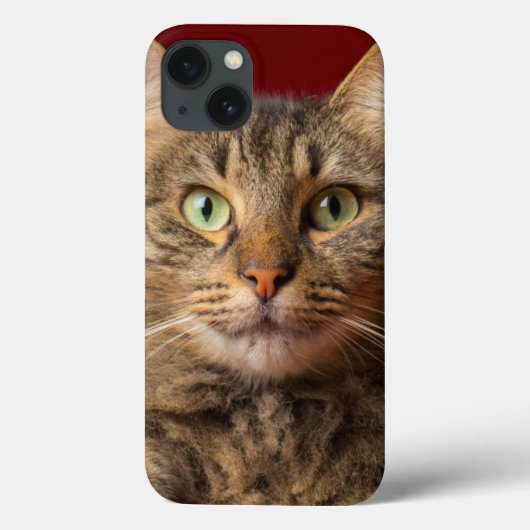 Maine Coon voor Kerstmis met verzamelaar Case-Mate iPhone Case (Achterkant)