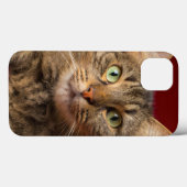 Maine Coon voor Kerstmis met verzamelaar Case-Mate iPhone Case (Achterkant (horizontaal))