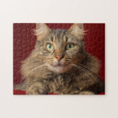 Maine Coon voor Kerstmis met verzamelaar Legpuzzel (Horizontaal)
