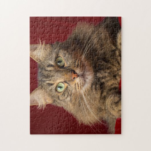 Maine Coon voor Kerstmis met verzamelaar Legpuzzel (Verticaal)