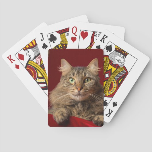 Maine Coon voor Kerstmis met verzamelaar Pokerkaarten (Achterkant)