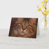 Maine Coon-wenskaart Kaart (Gele Bloem)