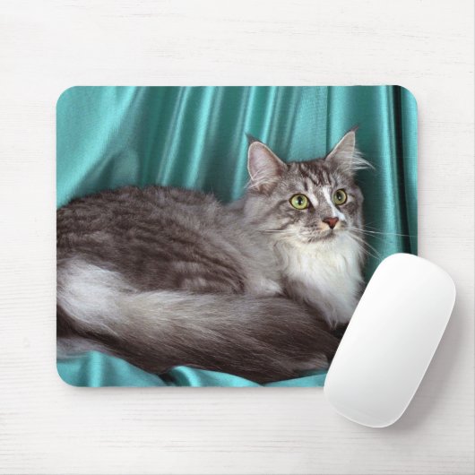 Maine Coon, zilvertabby Muismat (Met muis)