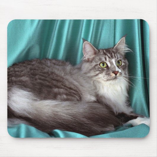 Maine Coon, zilvertabby Muismat (Voorkant)