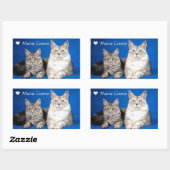 Maine Coons Katten Rechthoekige Sticker (Vel)