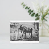 Maine Eland Briefkaart (Staand voorkant)