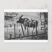 Maine Eland Briefkaart (Voorkant)
