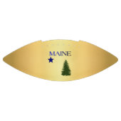 Maine flag (1901) american football (Paneel)