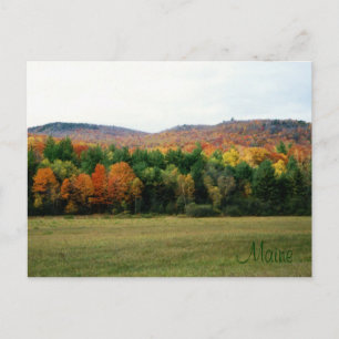 Maine Foliage Briefkaart