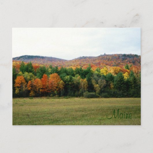 Maine Foliage Briefkaart (Voorkant)