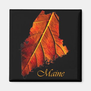 Maine Gift Magnet Souvenir
