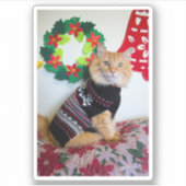 Maine Guy I Sticker (Voorkant)