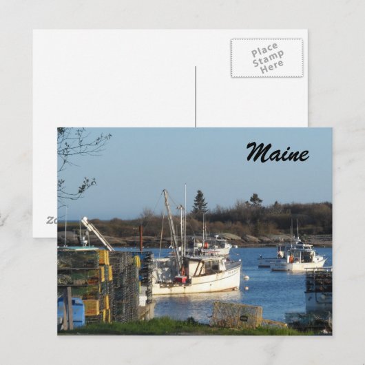 Maine Harbour Briefkaart (Voorkant / Achterkant)