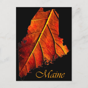 Maine Herfst Photo Foliage   Autumn Maine Foliage Briefkaart