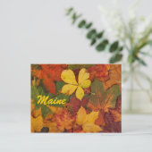 Maine Herfstbladeren Ansichtkaart Briefkaart (Staand voorkant)