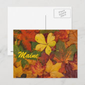 Maine Herfstbladeren Ansichtkaart Briefkaart (Voorkant / Achterkant)