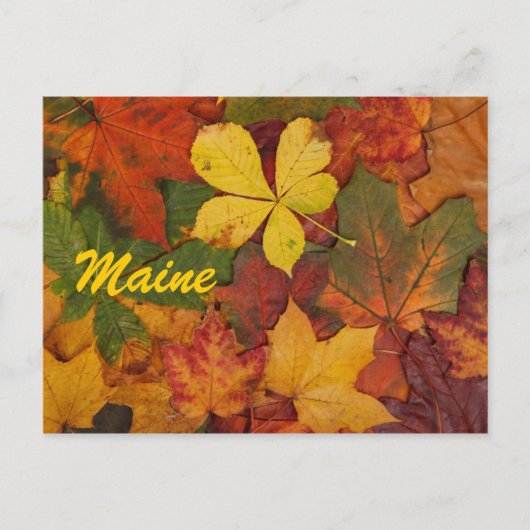 Maine Herfstbladeren Ansichtkaart Briefkaart (Voorkant)