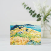 Maine Islands door Newell Convers Wyeth Briefkaart (Staand voorkant)