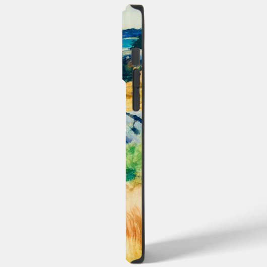 Maine Islands door Newell Convers Wyeth Case-Mate iPhone Case (Achterkant / Links)