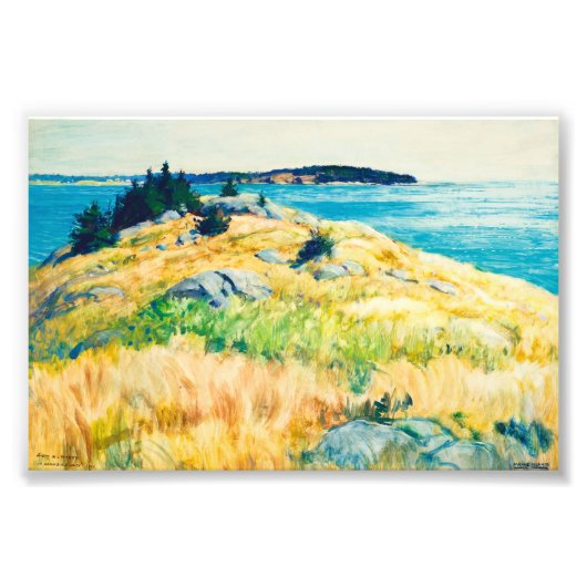 Maine Islands door Newell Convers Wyeth Foto Afdruk (Voorkant)