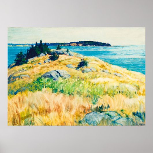 Maine Islands door Newell Convers Wyeth Poster (Voorkant)