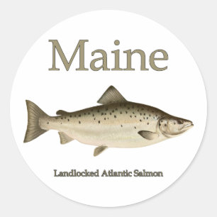Maine Landlocked Zalm Ronde Sticker