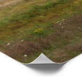 Maine Landscape Poster (Hoek)