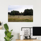 Maine Landscape Poster (Thuiskantoor)