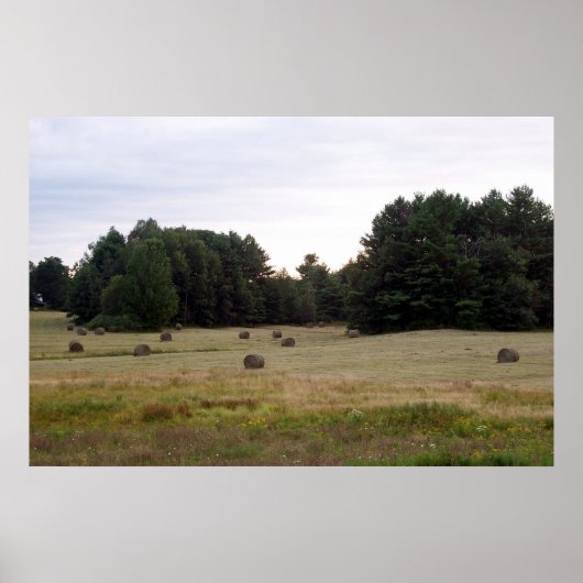 Maine Landscape Poster (Voorkant)