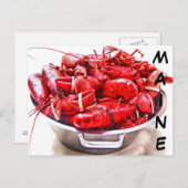 Maine Lobster Briefkaart (Voorkant / Achterkant)