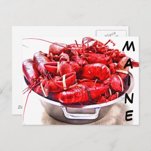 Maine Lobster Briefkaart (Voorkant / Achterkant)