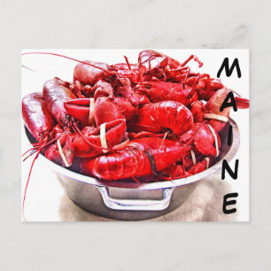 Maine Lobster Briefkaart