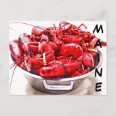 Maine Lobster Briefkaart (Voorkant)