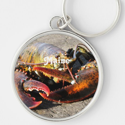 Maine Lobster Sleutelhanger (Voorkant)