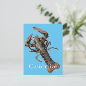 Maine Lobster Thunder_Cove, vers Briefkaart (Staand voorkant)