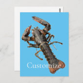 Maine Lobster Thunder_Cove, vers Briefkaart (Voorkant / Achterkant)