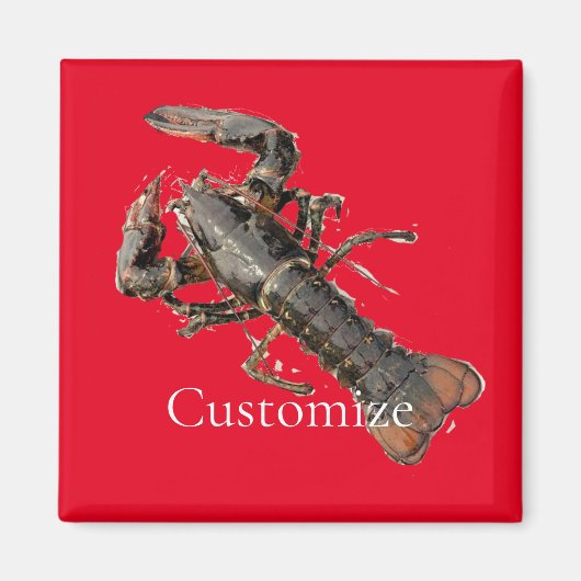 Maine Lobster Thunder_Cove, vers Magneet (Voorkant)