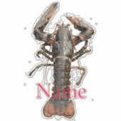 Maine Lobster Thunder_Cove, vers Sticker (Voorkant)