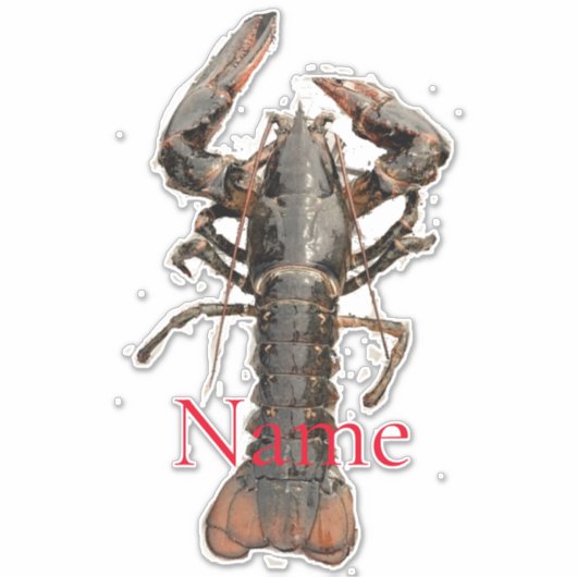 Maine Lobster Thunder_Cove, vers Sticker (Voorkant)