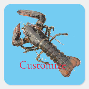 Maine Lobster Thunder_Cove, vers Vierkante Sticker