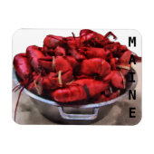 Maine Lobsters Magneet (Horizontaal)