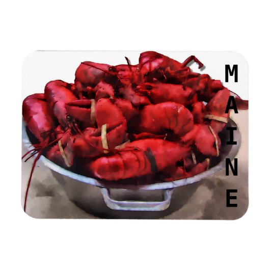 Maine Lobsters Magneet (Horizontaal)