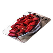 Maine Lobsters Magneet (Linkerzijde)