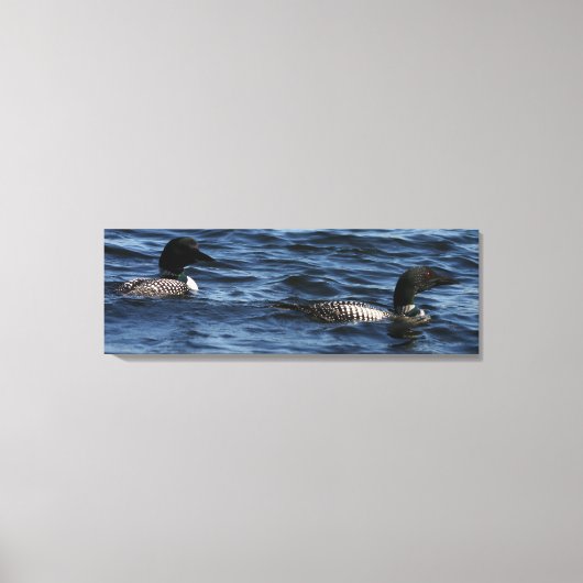 Maine Loons Canvas Afdruk (Voorkant)