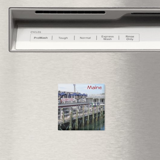 Maine Magneet (Insitu (Vaatwasser))