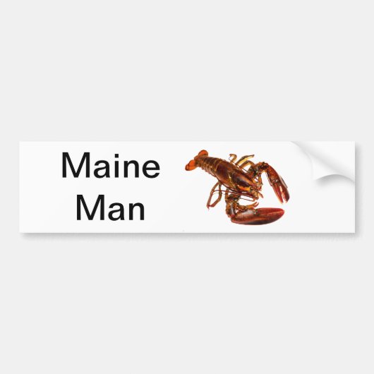 Maine Man Lobster Bumpersticker (Voorkant)