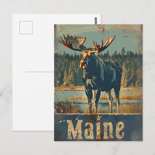 Maine Moose Briefkaart (Voorkant / Achterkant)