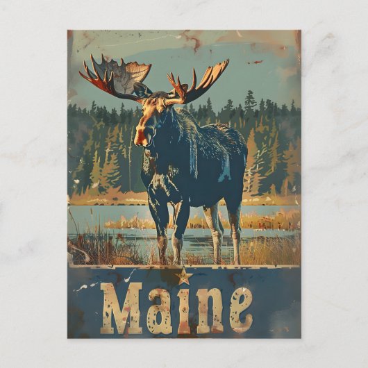 Maine Moose Briefkaart (Voorkant)
