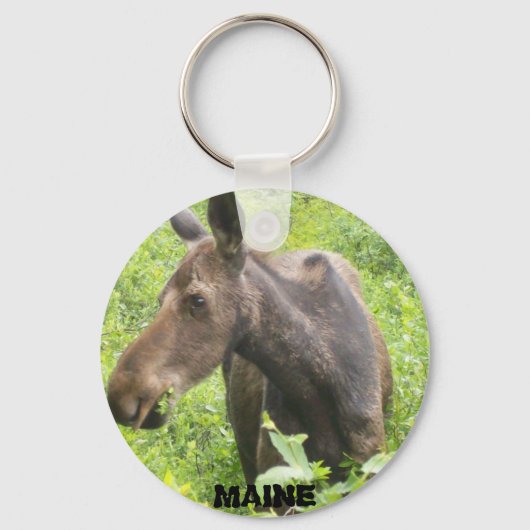 Maine Moose Sleutelhanger (Voorkant)