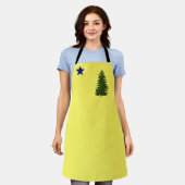 Maine old flag (1901) schort (Gedragen)